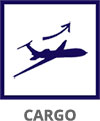 Cargo services icon - CDS freight handling